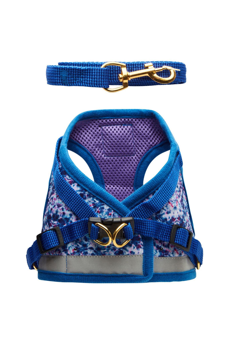 Travel Cat & Stray Cat Harness and Leash Set - Adjustable Fit Mesh Cat Harness and Reflective Strap - Comfort Escape Proof Harness for Cats, Kitten for Outdoor Walking, Hiking (Small, Groovy) Small Groovy Cat - PawsPlanet Australia