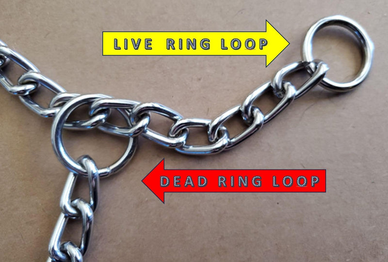 Chain Choke Collar for Dogs, Metal Slip Link Training Heavy Duty Dog Choker Collar Martingale Puppy Collars for XS Small Medium Large Big XL Breed Dogs (Silver, L(Neck Max 20inch) D3.5mm) Silver L(Neck Max 20inch)D3.5mm - PawsPlanet Australia
