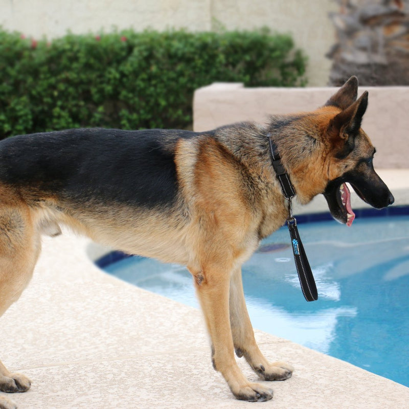 Max and Neo Short Traffic Leash 10" - We Donate One for One a Dog Rescue for Every Leash Sold (Red) RED - PawsPlanet Australia