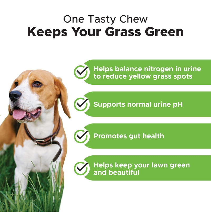 PetHonesty Grass Green Grass Burn Spot Chews for Dogs - Dog Pee Lawn Spot Saver Treatment Caused by Dog Urine - Cranberry, Apple Cider Vinegar, DL-Methionine Grass Treatment Rocks - 90 Chews Smoked Turkey