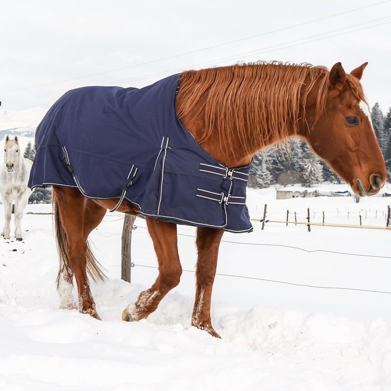 6 Pcs Horse Blanket Leg Straps, Elatic Horse Blanket Leg Straps Replacement with Duble Ended Clips, 20 Inch Horse Rug Tail Strap, Winter Horses Supplies (Medium) Medium - PawsPlanet Australia