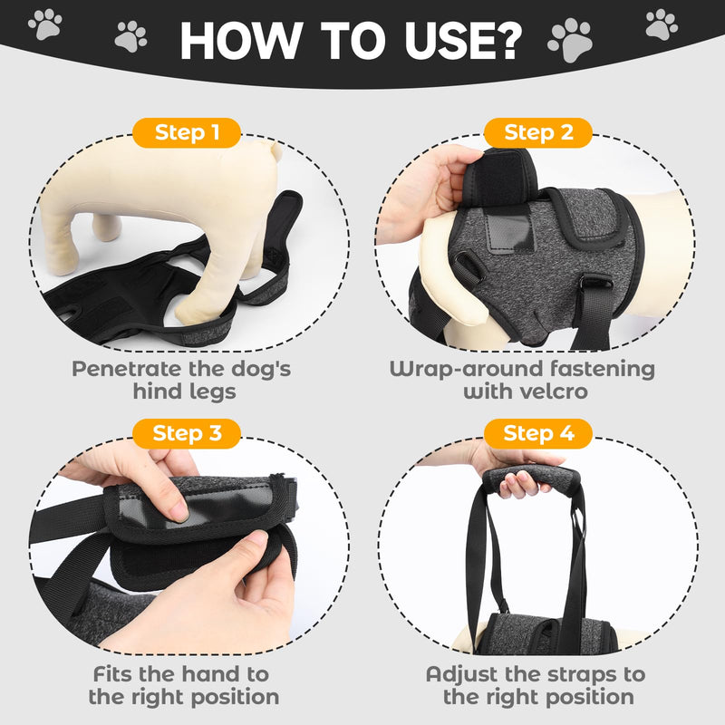Dog Lifting Harness for Back Legs, Walking Assistance Rehabilitation Harness with Padded Handle Adjustable Support Sling Hind Leg Brace, Mobility Aid for Injured, Disabled, Elderly Dogs M