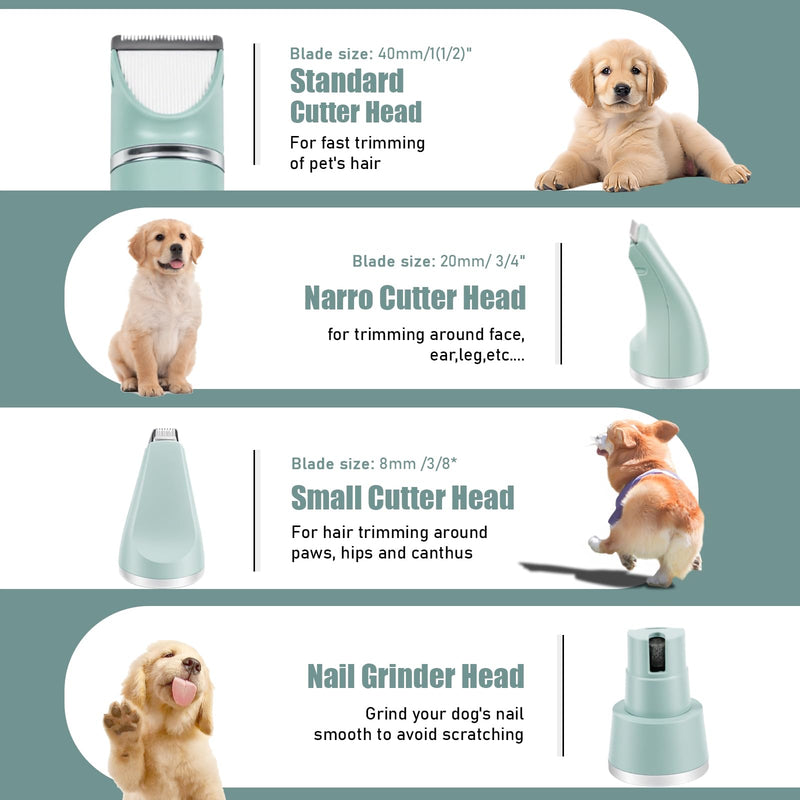 Dogs Hair Clippers Grooming Kit with Nail Grinder,4-in-1 Dog & Cat Grooming Kit - & 4 Guide Combs, Low Noise Dog Clippers for Grooming Small Medium Pets，Pet Face Shaver for Paw,Nail,Body,Ear (Green) green - PawsPlanet Australia