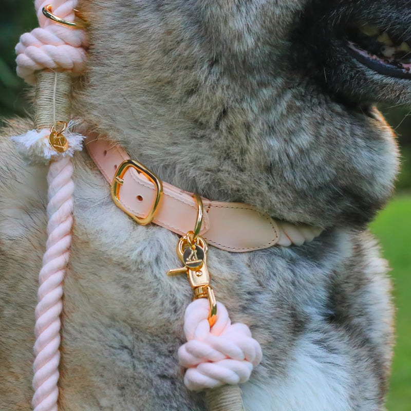 Handcrafted Cotton Rope Dog Collar for Small, Medium & Large Dogs – Soft, Hypoallergenic & Adjustable, Leather Reinforced with Rust-Proof Zinc Clasp. Perfect for Everyday Walks, Training & Weddings Light Pink Large (15" - 18") - PawsPlanet Australia