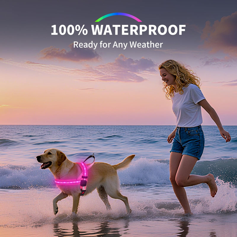 PetIsay LED Light Up Dog Harness - USB-C Rechargeable, IPX7 Waterproof, Reflective, No Pull Dog Vest with Soft Padded Handle for Night Walking(Pink, Medium) M Pink - PawsPlanet Australia
