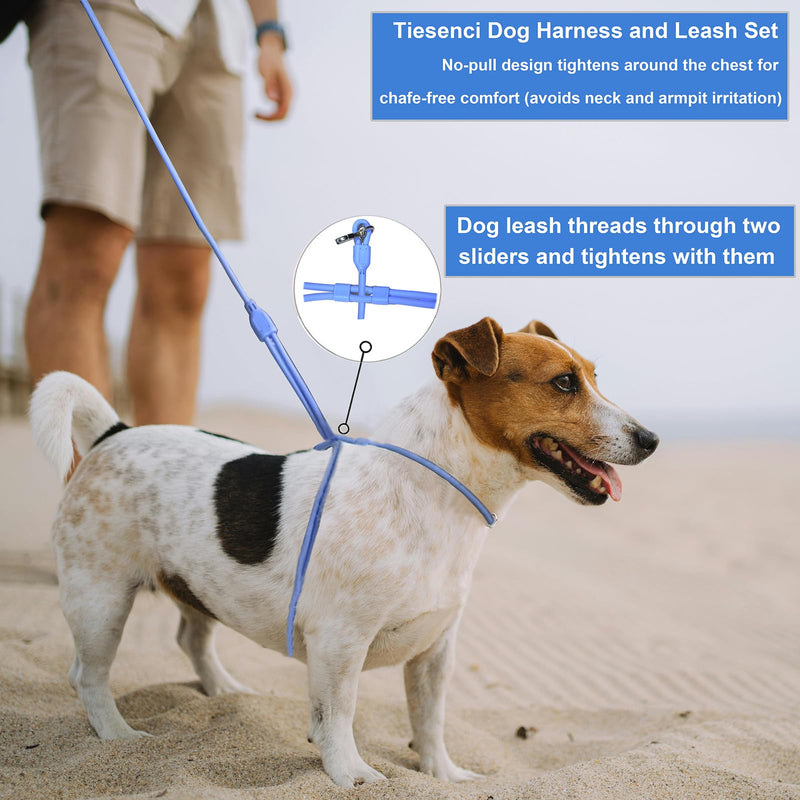 Hands Free Dog Leash Crossbody & Waist for Walking, 9-in-1 No Pull Dog Harness & Leash Set, Heavy Duty Waterproof Slip Lead for Large Medium Breeds (20-120lbs, Red) Large - 9mm Diameter - 20-120lbs Neon Coral - PawsPlanet Australia