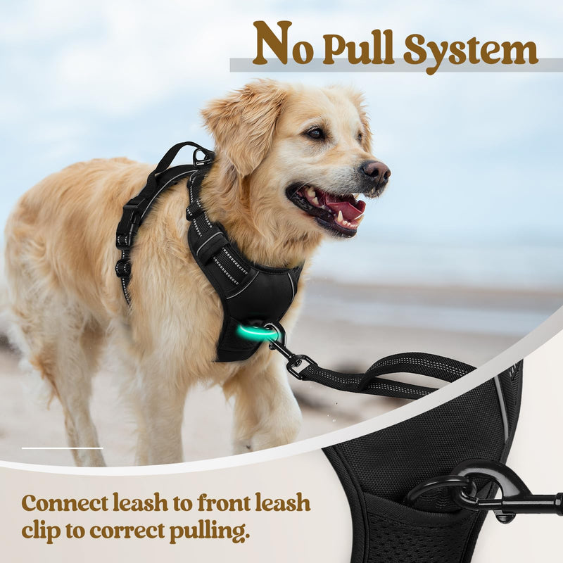 rabbitgoo Dog Harness Large Dog No Pull Pet Harness with 2 Leash Clips, Adjustable Soft Padded Pet Vest, Reflective No-Choke with Easy Control Handle for Training or Walking, Black, L L (Pack of 1)