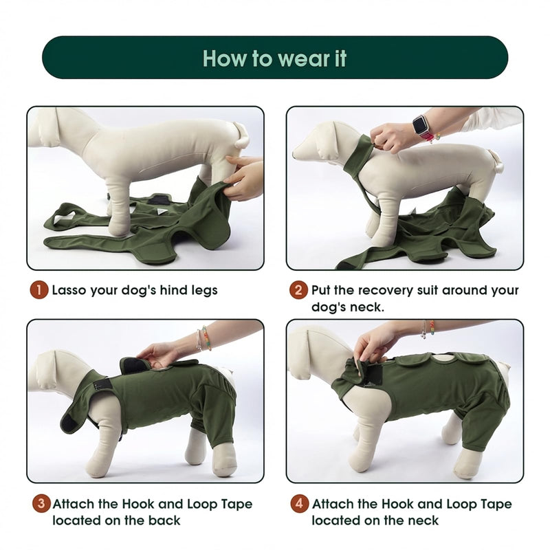 Kuoser Dog Recovery Suit - Post Surgery Body Suit with Legs, Comfortable Cone Alternative, Prevent Licking Dog Onesies, Green S S(Chest:14.6-18.5''）