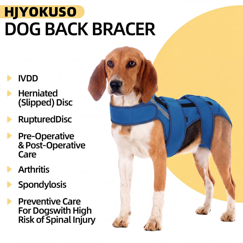 Dog Back Brace M, Adjustable Spine Support Vest for IVDD, Slipped Disc, Herniated Disc, Arthritis, Post Surgery Recovery, Back Pain Relief for Dachshund,Corgi Blue