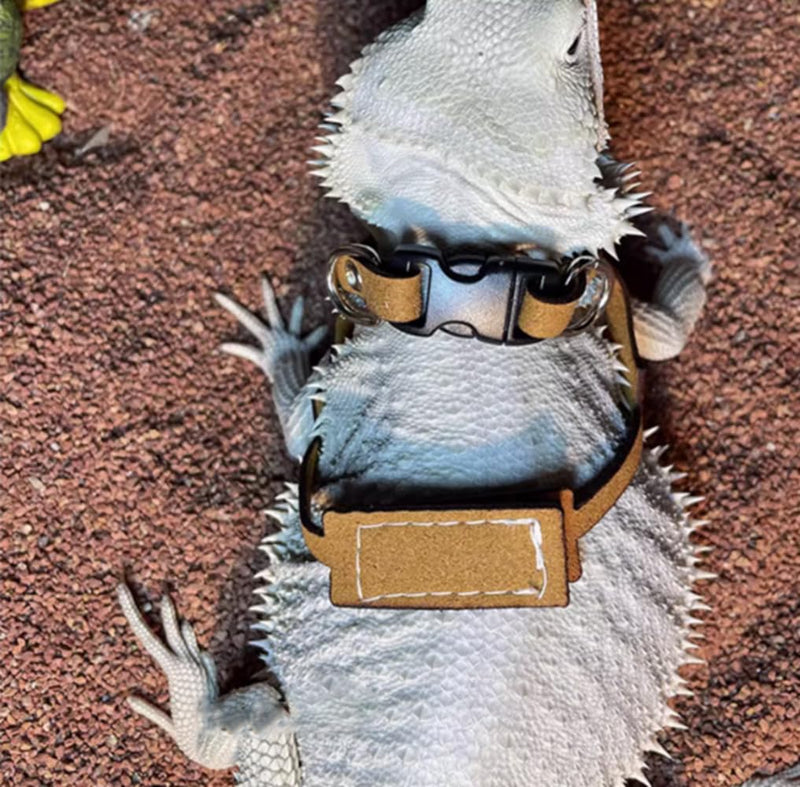 Bearded Dragon Harness and Leash Adjustable(M,L,XL) - Soft Leather Reptile Lizard Leash Accessories for Bearded Dragon, Lizard and Other Small Pets (XL) XL - PawsPlanet Australia