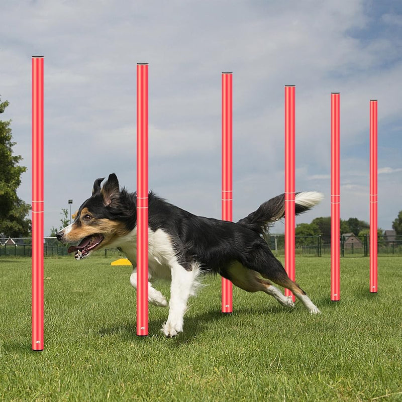 PaylesswithSS Dog Agility Weave Poles - PawsPlanet Australia