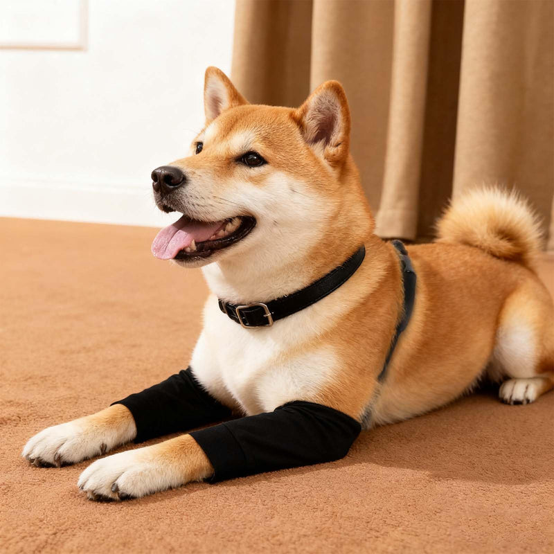 Dog Leg Sleeves, Dog Recovery Suit for Front Legs Pet Sleeves Elbow Protector Brace (XL, Yellow Black Stripes, Polyester), for Knee Recovery Prevent Scratching XL