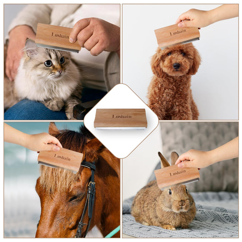 Deshedding Brush for Dogs & Cats | Professional Pet Grooming Tool | Removes Loose Fur, Dirt & Hair | Small, Medium & Large Pets | Ergonomic Wooden Handle| 5 Inches (Nature Wood, 5 inch) Nature wood - PawsPlanet Australia