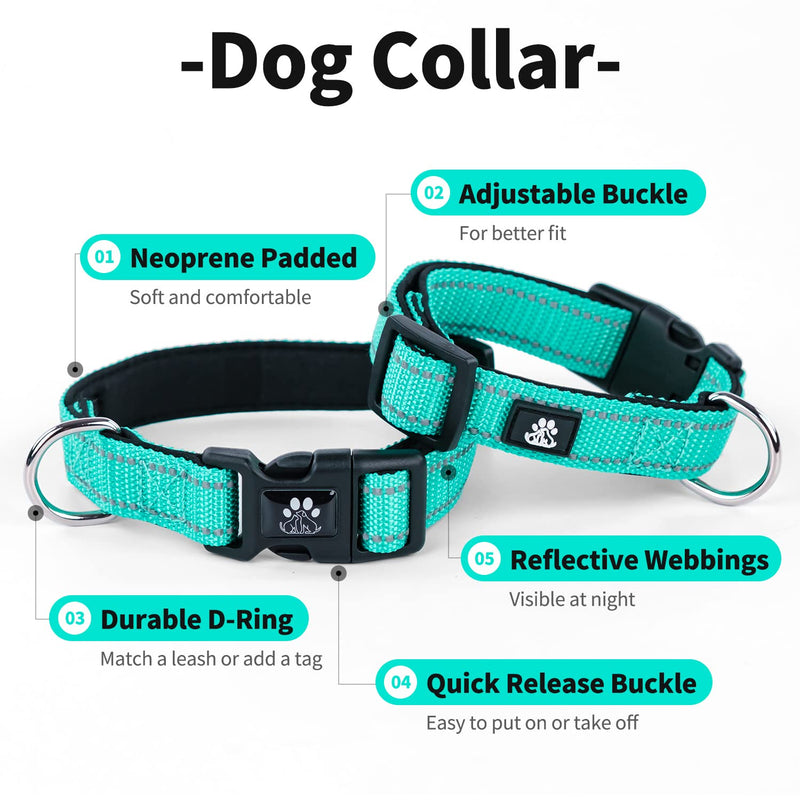 IVY&LANE Dog Harness Set Bundle Dog Collar and Leash Set | Medium | Turquoise+Teal - PawsPlanet Australia
