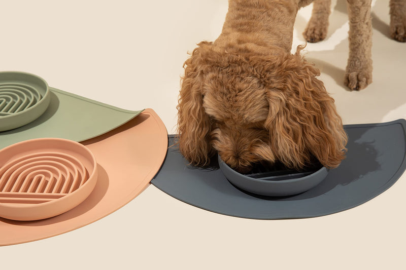 Slow Feeder Dog Bowl: The Slowdown Bowl is A Modern, Silicone Puzzle Bowl & Lick Mat. Slow Eating, Stop Gulping, Take It Easy. Dishwasher Safe. Sage Green - PawsPlanet Australia