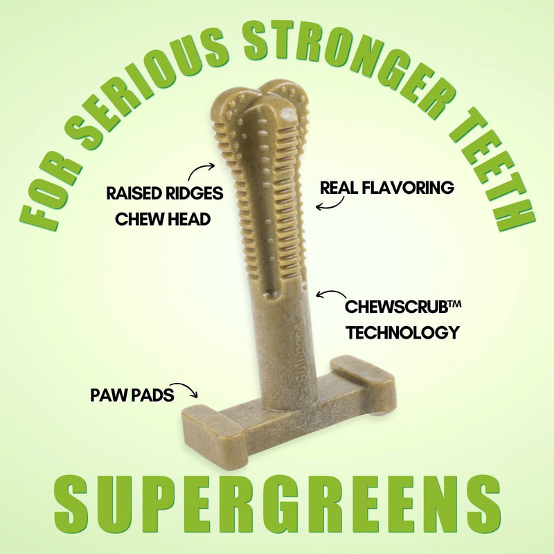 Bullibone SuperBrush: Dog Teeth Cleaning Brushing Toothbrush Stick - Long Lasting Nylon Chew Toy for Oral Care and Dental Health Super Greens - Single Large - PawsPlanet Australia