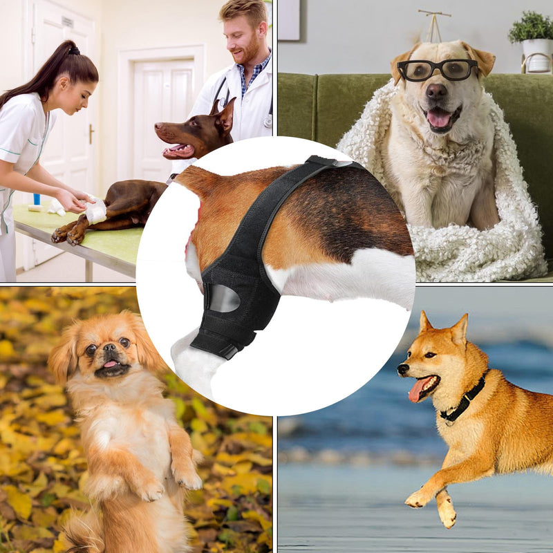Generic knee brace for dogs | Jumping brace | Rear support | Non-slip knee brace with adjustable strap, soft protection for restoring mobility