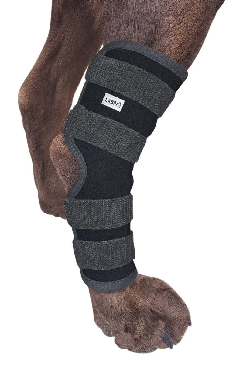 Labra Dog Rear Leg Hock Joint Compression Wrap - Supportive Brace for Weak Back Legs, ACL Tear, and Joint Discomfort - Adjustable Hind Leg Support for Senior Dogs - Extra Large