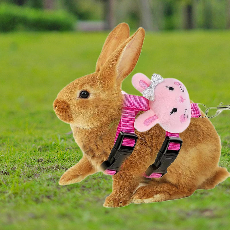 Set of 4 Adjustable Rabbit Harness and Leash for Small Pets, Ferret Leash with Decorations for Rabbit, Kitten, Puppy - PawsPlanet Australia