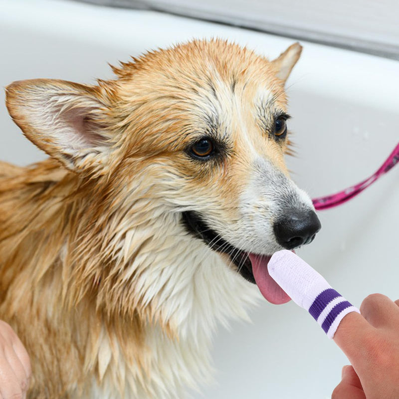 STOBAZA Nylon Finger Toothbrushes Promotes Fresh Breath for Dental Care and 6 Pieces Provides a Comfortable Cleaning Experience for Dogs and Cats for Pet Owners