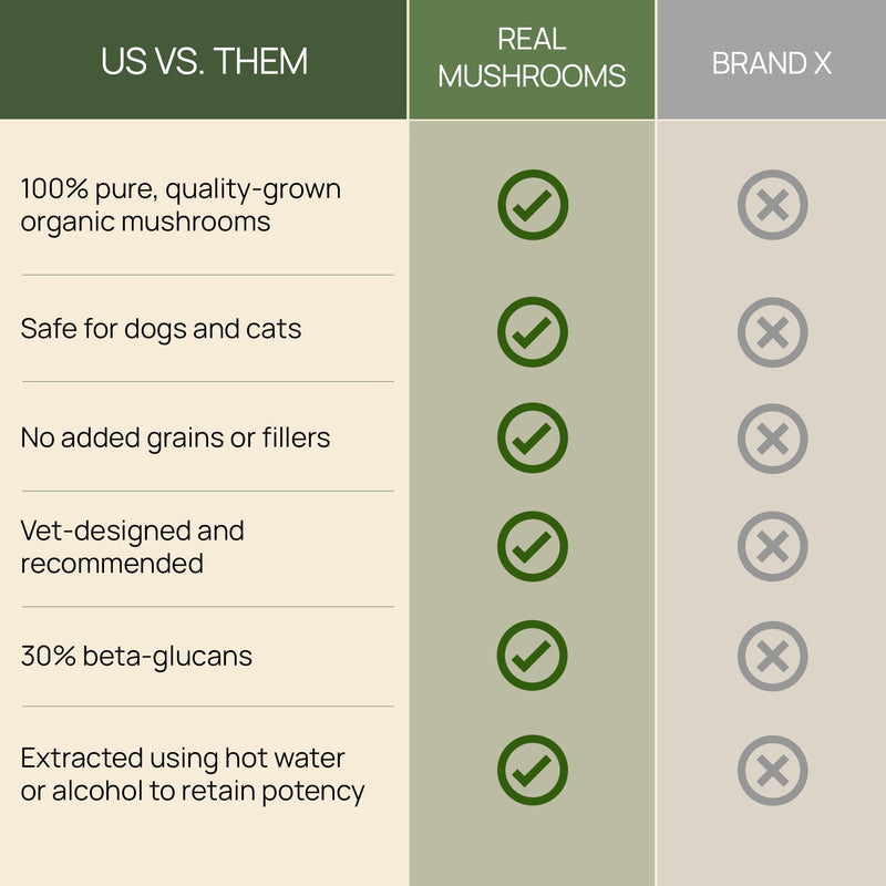 Turkey Tail Pet Support - Dog Multivitamins and Supplements for Immune Support, Gut Health & Wellness - Grain-Free, Gluten-Free, Vet-Approved Dog Supplement (90ct) Turkey Tail Mushrooms Pet - PawsPlanet Australia