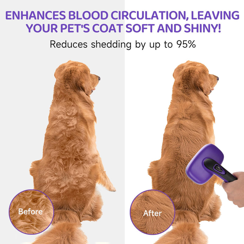 Dog Brush Kit – 3 PCS Grooming Set with Self-Cleaning Brush, Undercoat Rake & Pet Bath Brush. Great for Shedding, Tangles & Dirt Removal – Ideal for Long & Short Haired Dogs & Cats, Purple - PawsPlanet Australia