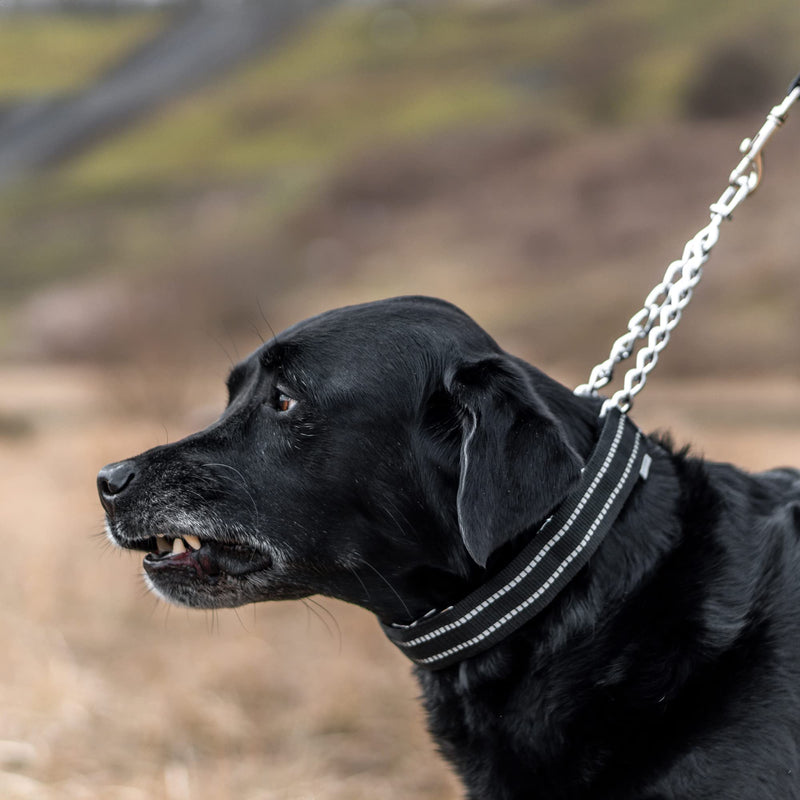 Sprenger Reflective Collar Cover for Prong Training Dog Collars - Lightweight Woven Nylon Suitable for All Weather Excellent Protection Collar from Water and Dirt - Black (2.25mm Prong; 11.5" Length) 2.25mm prong; 11.5" length - PawsPlanet Australia