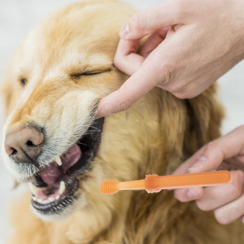 VOSAREA 1 Set of Silicone Pet Toothbrush Kit for Dogs and Cats Puppy Tooth Brushing Tool Double Head Oral Cleaning Brush for Small Dogs and Cats