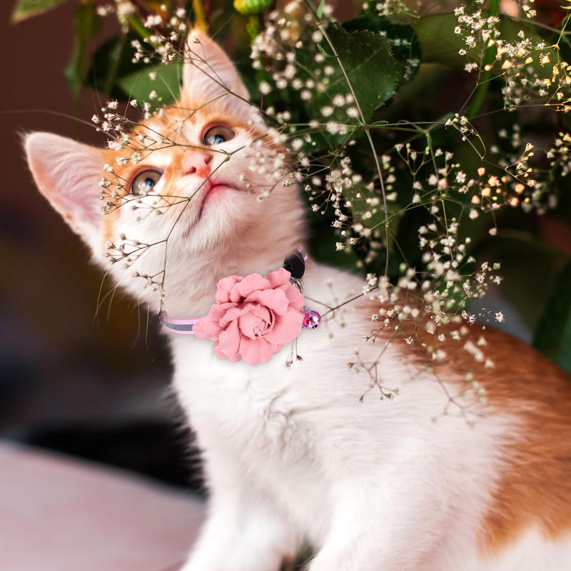 2 Pack Girl Cat Collar, Cute Flower Cat Collars, Flexible Adjustable Floral Cats Bowtie Collar, Removable Kitten Collars with Bells for Boys Girls Cats Puppies Small Pets, Purple Pink - PawsPlanet Australia