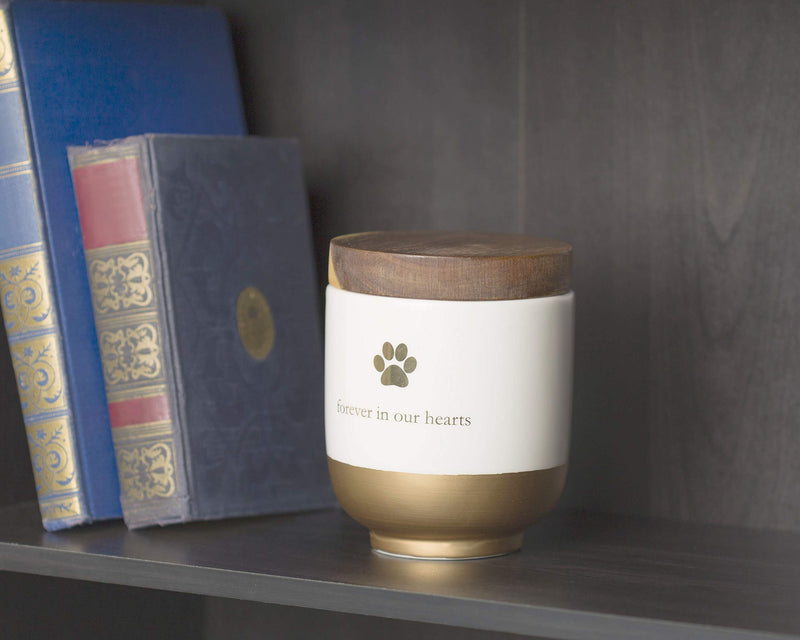 Pearhead Pet Ceramic Forever in Our Hearts Urn, Pet Memorial, Dog Or Cat Keepsake Urn, Rainbow Bridge, Gold - PawsPlanet Australia