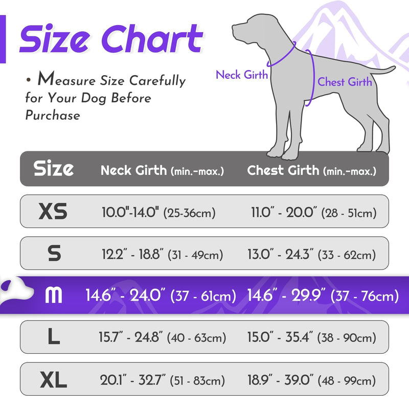 Eagloo Dog Harness Medium, No Pull Harness with Front Back Clips, Adjustable Dog Walking Vest, Soft Padded Pet Vest, Reflective No-Choke Breathable with Easy Control Handle, Purple & Green, M M (Pack of 1) - PawsPlanet Australia