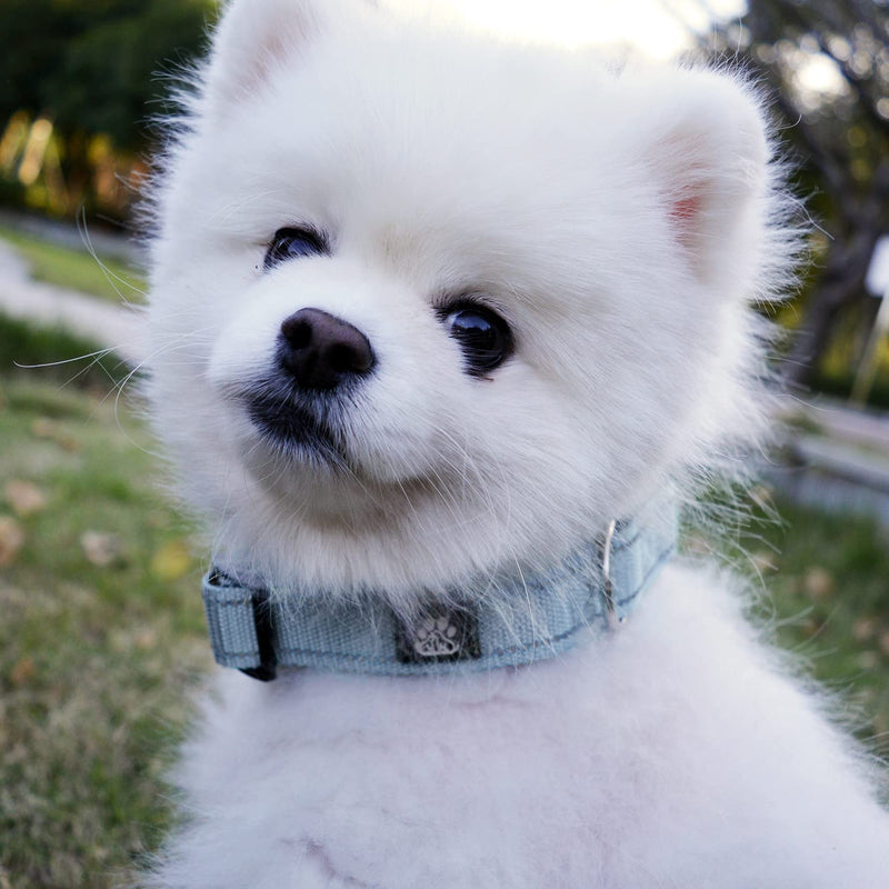 IVY&LANE Dog Harness Set Bundle Dog Collar and Leash Set | Small | Blue - PawsPlanet Australia