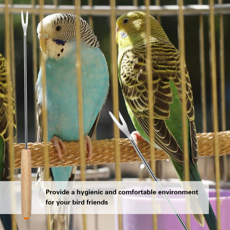 7-Piece Set Bird Cage Cleaner,Small Animal cage Cleaning Tool Wooden and Stainless Steel Cleaning Brush Long Handle Cleaning Brush Spatula Bird Cleaning Bird Drops Multipurpose Cleaning(B) 7B - PawsPlanet Australia