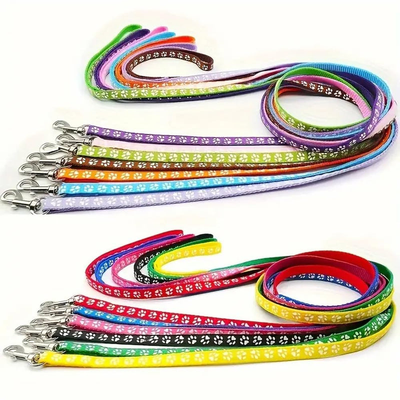Black XS Dog Collar with Bell Leash Set, Cat Collars Puppy Collar Nylon Soft Adjustable Buckle for XXS XSmall Extra Small Tiny Boy Girl Pets Female Male Kitten Yorkie Teacup Chihuahua X-Small 2Black +Leash XS (Neck 7"-12")