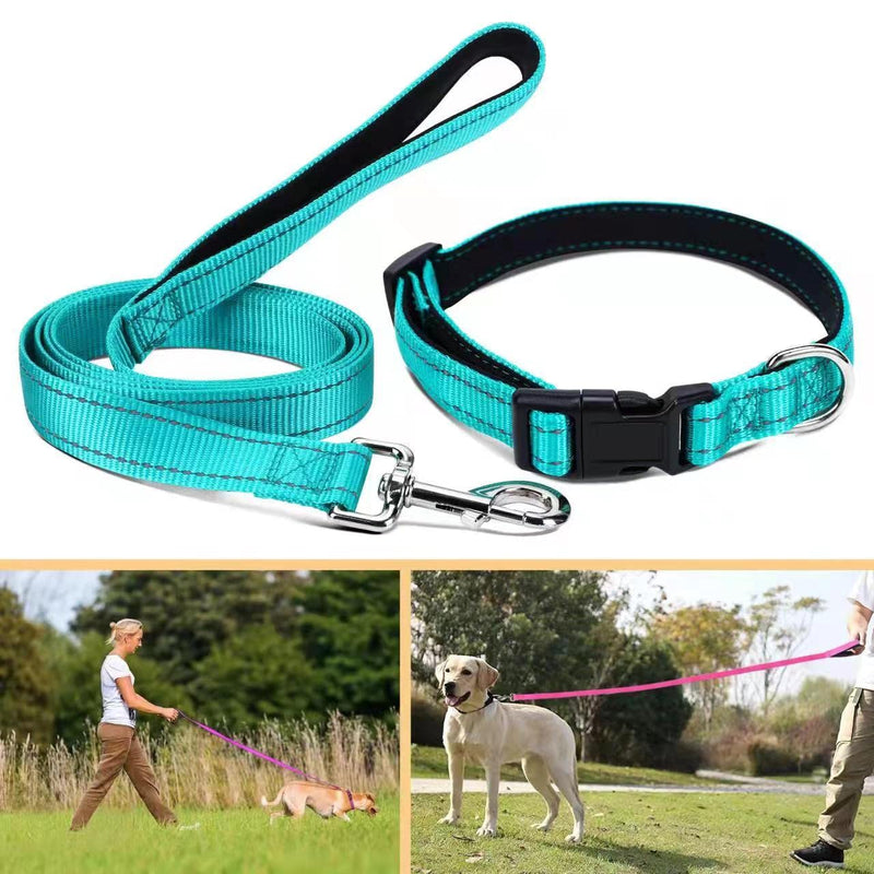 Soft Neoprene Padded Dog Collar and Leash Set for Small Medium Large Dogs, Reflective Durable Nylon Dog Collar with 5ft Leash Easy for Walking, Teal,Neck fit 10.5-15.5’’ S:Neck 10.5-15.5’’, Leash 3/4’’*5ft - PawsPlanet Australia
