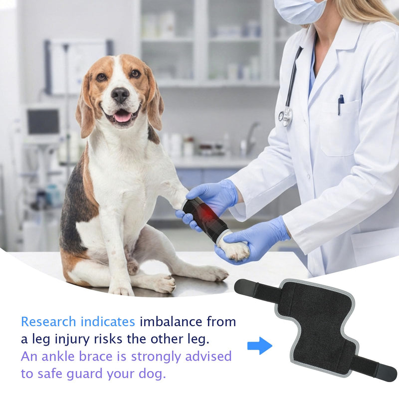 Dog Front Leg Brace - Hock Joint Compression Wrap Providing Stability for Dogs for ACL , Arthritis, Joint Discomfort Aid in Wound Care and Recovery - Dog Wrist BracePreventing Injuries, Sprains (S)