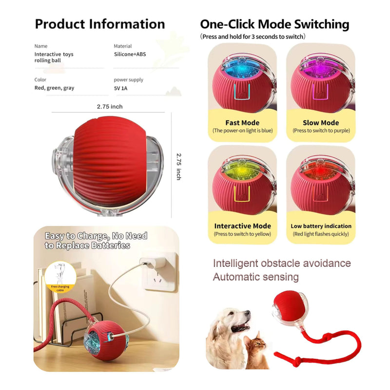 13-Piece Multi-Purpose Set Pet Grooming & Toy Set | Bath Brush, Steamy Brush, Hair Remover & Fun Pet Toys | Includes Storage Bag | for Dogs & Cats
