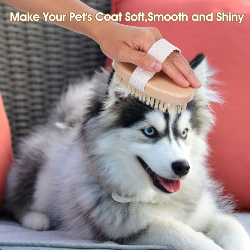 Soft Boar Bristle Pet Brush, Ergonomic Dog Brush Reduces Shedding, Ideal for Daily Gentle Grooming Natural Palm Brushes for Short Haired Dogs & Cats with Non-Slip Band - PawsPlanet Australia