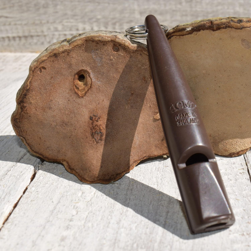 THE ACME 210.5 Chocolate Brown - Whistle