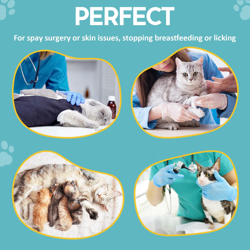 Avont Cat Recovery Suit - Post-Surgery Onesie for Cats, Alternative to Cone of Shame, Protective Spay Suit for Female Kitten, Ideal for Healing and Skin Conditions -Magenta(S) Magenta Small