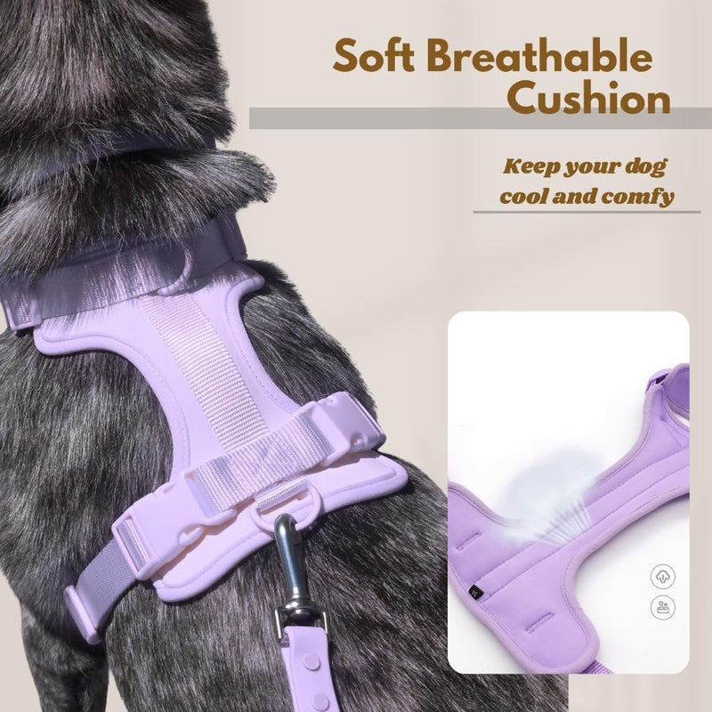 Dog Harness, No-Pull Pet Harness with 3 Leash Clips, Adjustable Soft Padded Dog Vest, Breathable Mesh Cushion for Small Medium Large Dogs (Purple, Medium (Neck:15"-19" Chest 22"-30")) Medium (Neck:15"-19" Chest 22"-30") Purple - PawsPlanet Australia