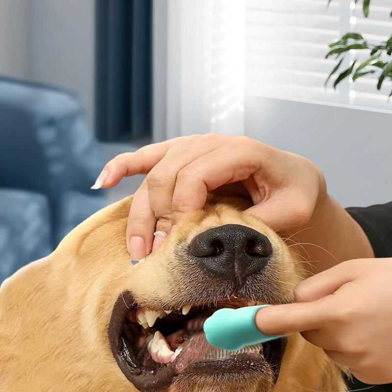 Dog toothbrush, silicone toothbrush for dog fingers, pet toothbrush in paw shape, toothbrush for care, green, 1 piece (pack of 1).