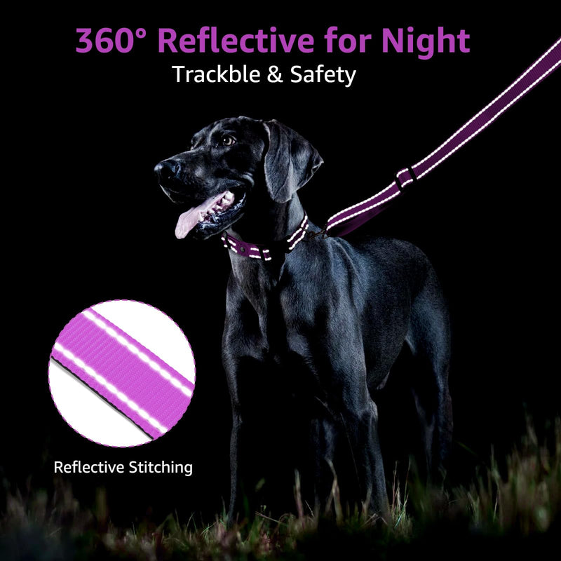 Kuley AirTag Dog Collar and Reflective Leash Set Bundle with Airtag Holder Case,Adjustable Padded Nylon Pet Collar for Small Medium Large Dogs(Purple, Medium) Purple - PawsPlanet Australia