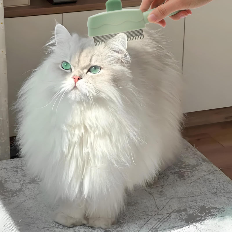 Pet Grooming Comb Cat Brush Ergonomic Angled Handle for Comfortable Brushing, Self-Cleaning Comb for Cats & Dogs - PawsPlanet Australia