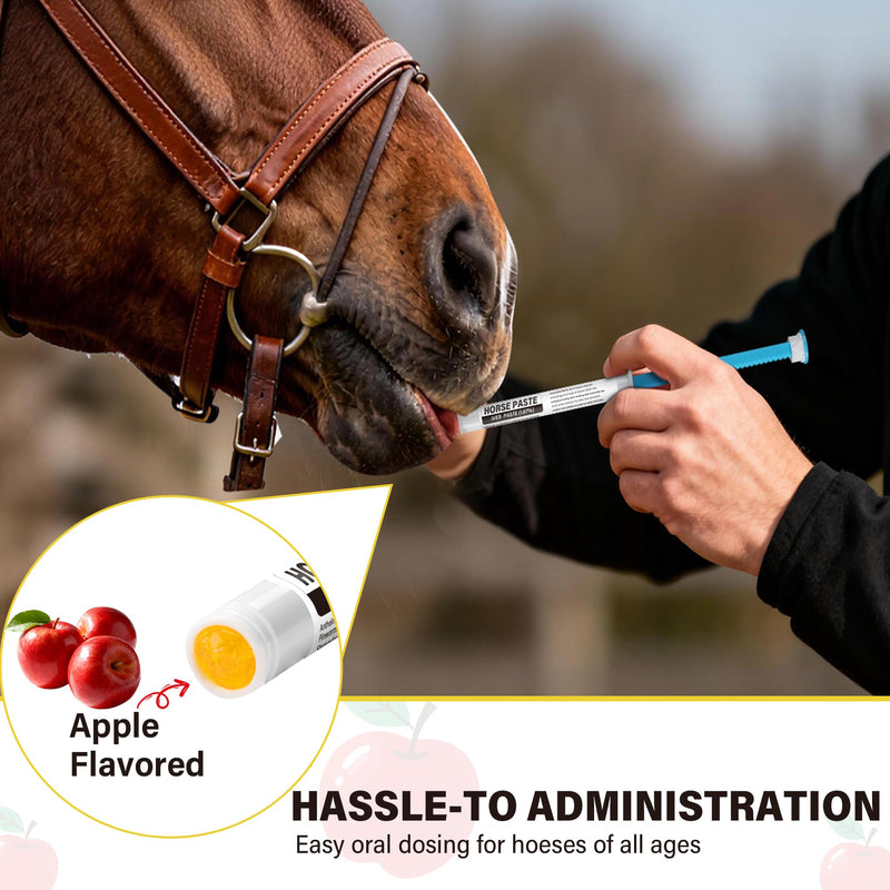 1 Pack Equine Paste 1.87% – (6.08g Each) Apple Flavored Oral for Horse