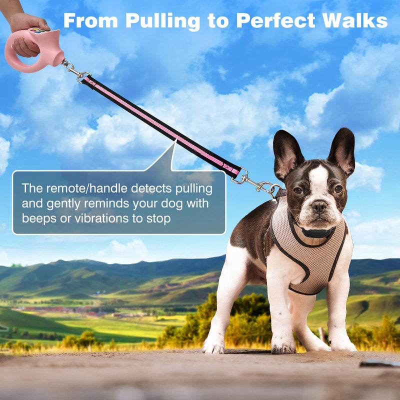 PaiPaitek No-Pull Dog Training Collar with Remote - Automatic Anti-Pull Sensor with 3 Training Modes (Beep/Vibration/Shock) for Effective Leash Training and Behavior Correction PD800-Black - PawsPlanet Australia