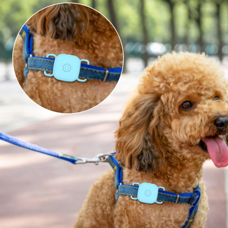 Protective Dog Collar for Tiles by Life360 Soft Flexible Silicone Track Scratch-Resistant Covers