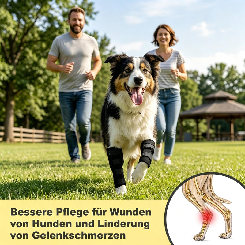 2 pieces of ankle bandage for dogs, lick protection dog bandage for front and hind legs, dog leg bandage for the treatment of wounds, injuries and sprains, supports healing, Gr√∂√ü