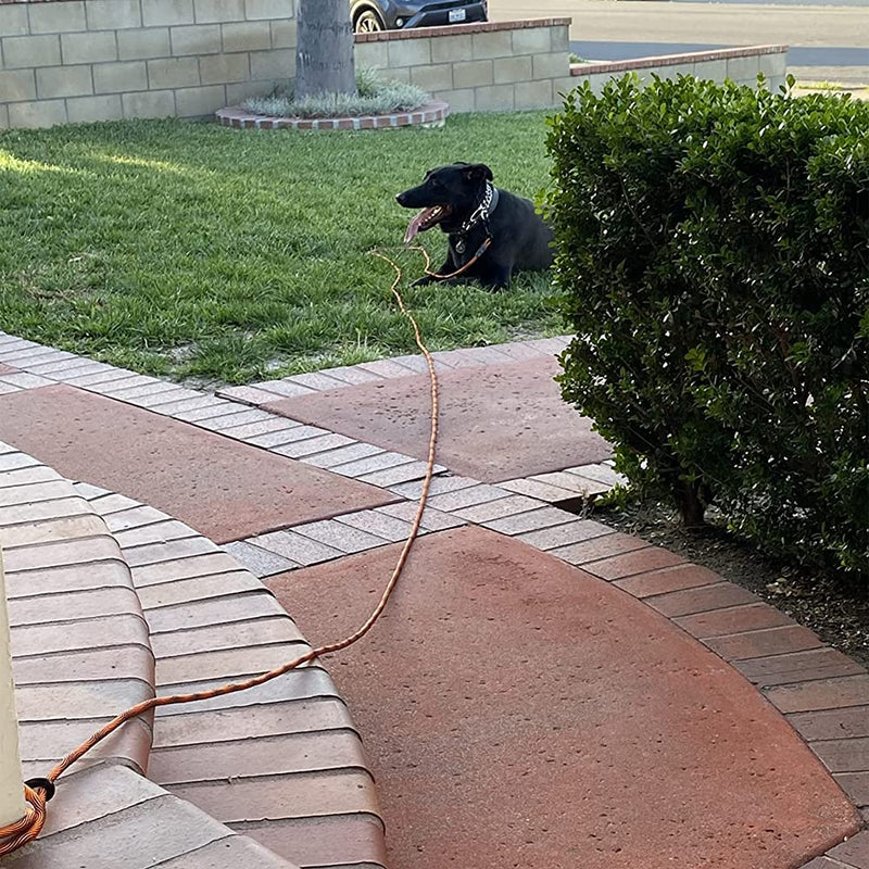 BTINESFUL Dog Tie Out, Check Cord Long Tether Rope Dog Leash, 8ft 12ft 20ft 30ft 50ft 75ft Yard Training Dog Lead - Large Medium Small Dogs Outdoor Playing, Camping, or Backyard (12ft, Orange Black) 12 Foot - PawsPlanet Australia