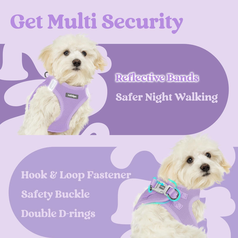 rabbitgoo Dog Harness Small Dog, Step-in Soft Mesh Puppy Harness with Reflective Strips, Lightweight Breathable Pet Vest for Walking Training, Light Purple, M